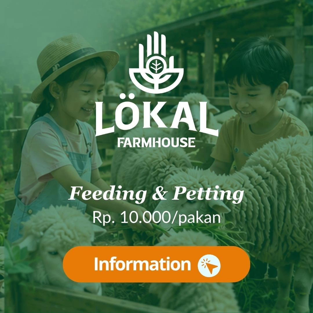 LOKAL FARMHOUSE, FEEDING & PETTING